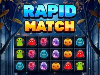 Rapid Match image